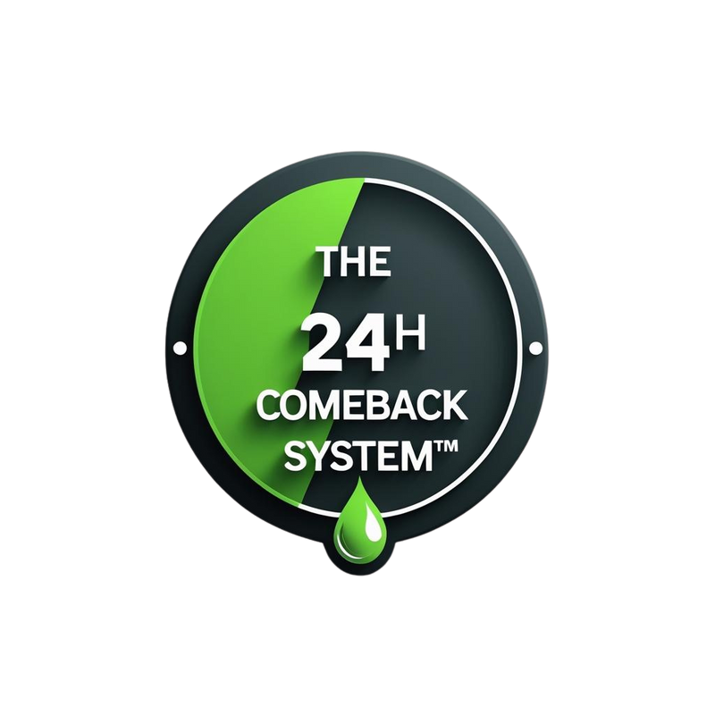 Ebook The 24h Comeback System